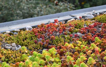 the cost of Spark Bridge green roof installation