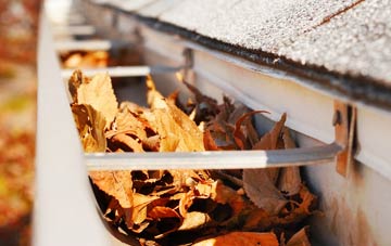Spark Bridge gutter cleaning companies