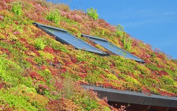 Spark Bridge living roof systems