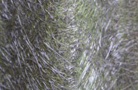 Spark Bridge fibreglass roof work